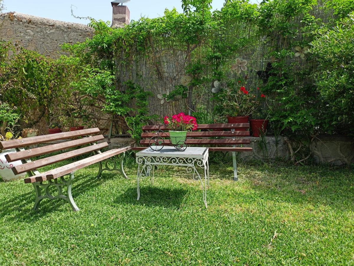 Finikas Rooms Agia Marina  Esterno foto