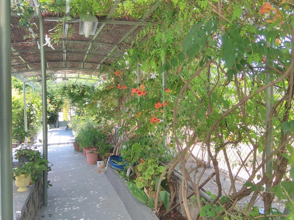 Finikas Rooms Agia Marina  Esterno foto